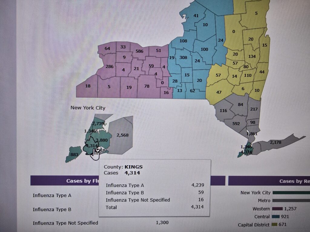 Navigating Flu Season: Risks, Symptoms, and Prevention – How to Protect Yourself from the Flu?