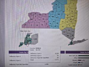 Read more about the article Navigating Flu Season: Risks, Symptoms, and Prevention – How to Protect Yourself from the Flu?